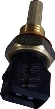EFI 295011 - Coolant temperature Sensor car-mod.net