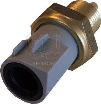 EFI 295085 - Coolant temperature Sensor car-mod.net