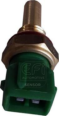EFI 295076 - Coolant temperature Sensor car-mod.net