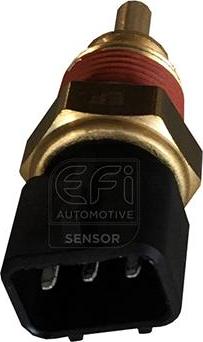 EFI 295072 - Coolant temperature Sensor car-mod.net