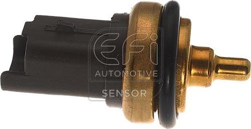 EFI 295144 - Coolant temperature Sensor car-mod.net