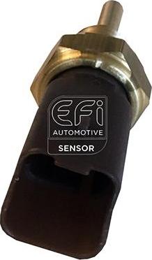 EFI 295141 - Coolant temperature Sensor car-mod.net