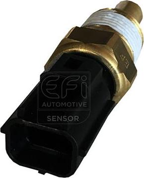 EFI 295159 - Coolant temperature Sensor car-mod.net