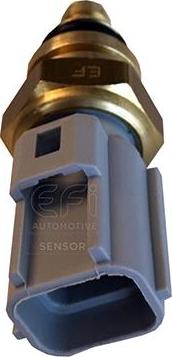 EFI 295157 - Coolant temperature Sensor car-mod.net