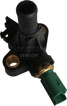 EFI 295181 - Coolant temperature Sensor car-mod.net