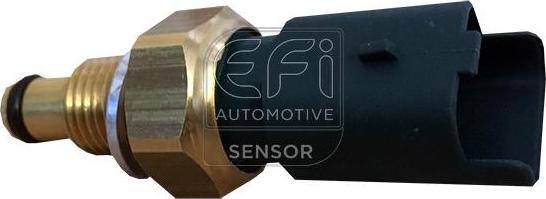 EFI 295138 - Coolant temperature Sensor car-mod.net