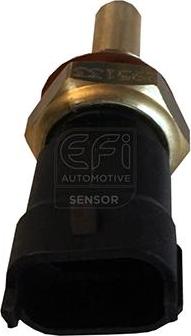 EFI 295133 - Coolant temperature Sensor car-mod.net