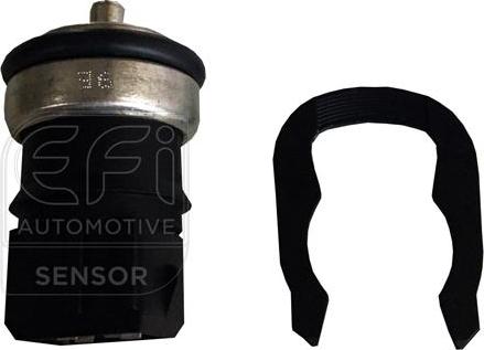 EFI 295175 - Coolant temperature Sensor car-mod.net