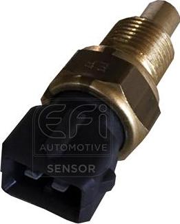 EFI 295171 - Coolant temperature Sensor car-mod.net