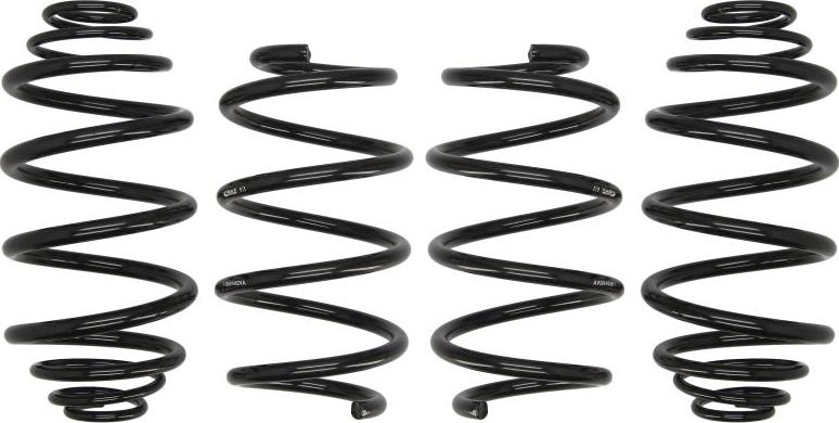 Eibach E10-65-014-02-22 - Suspension Kit, coil springs car-mod.net
