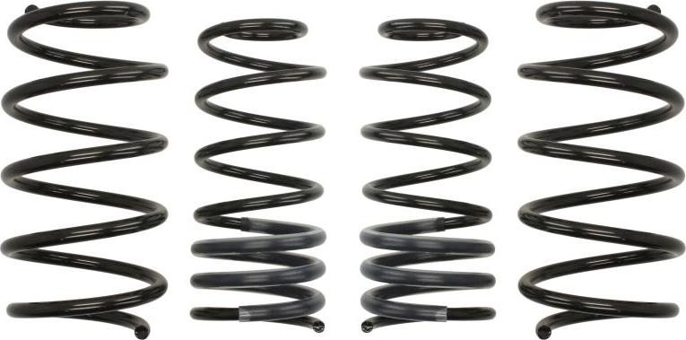 Eibach E10-65-015-01-22 - Suspension Kit, coil springs car-mod.net