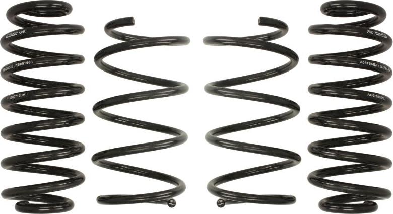 Eibach E10-79-010-01-22 - Suspension Kit, coil springs car-mod.net