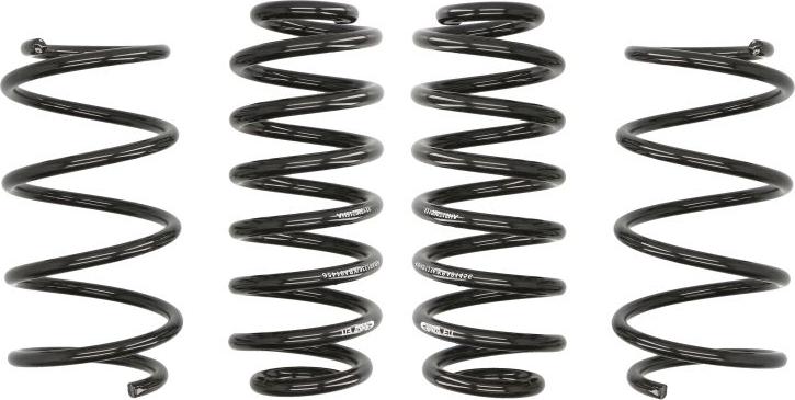 Eibach E10-79-010-02-22 - Suspension Kit, coil springs car-mod.net