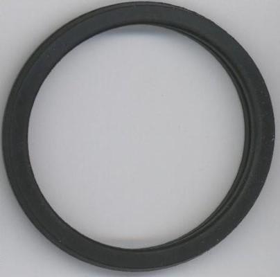 Elring 027.450 - Gasket, thermostat car-mod.net