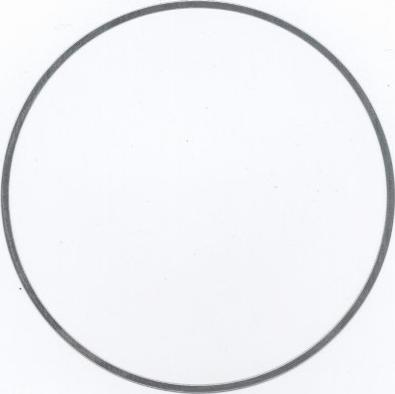 Elring 896.455 - O-Ring, cylinder sleeve car-mod.net