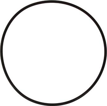 Elring 743.400 - Seal Ring, cylinder liner car-mod.net