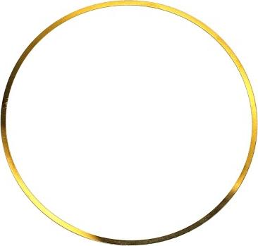 Elring 703.214 - O-Ring, cylinder sleeve car-mod.net