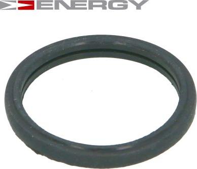 ENERGY 90096383 - Gasket, thermostat car-mod.net