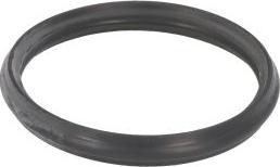 EPS 1.890.720 - Gasket, thermostat car-mod.net