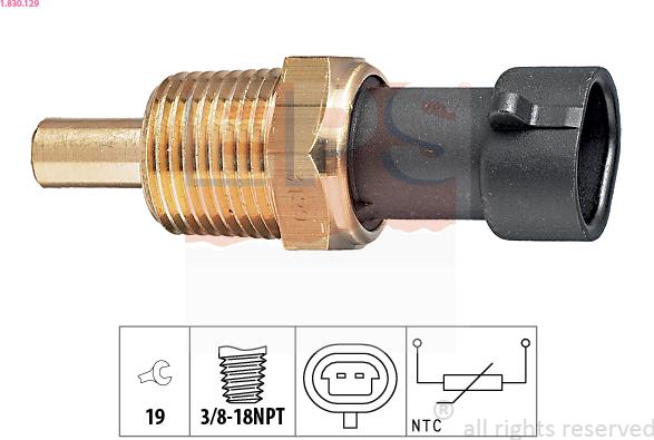 EPS 1.830.129 - Sensor, oil temperature car-mod.net