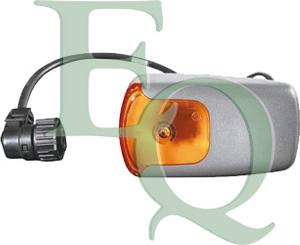 Equal Quality FL0499 - Indicator car-mod.net