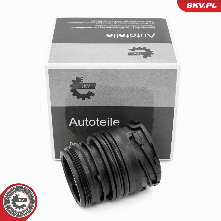Esen SKV 96SKV415 - Plug Housing, automatic transmission control unit car-mod.net