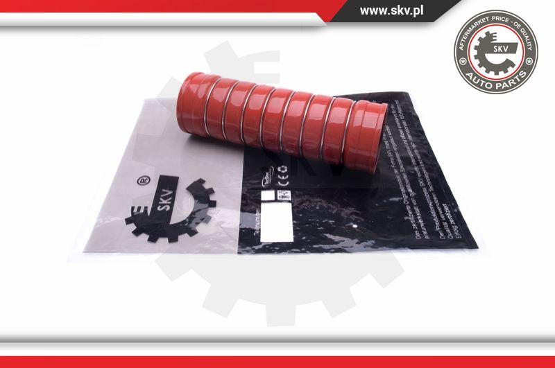 Esen SKV 43SKV391 - Charger Intake Air Hose car-mod.net