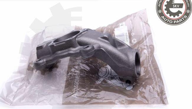 Esen SKV 47SKV202 - Steering Knuckle, wheel suspension car-mod.net