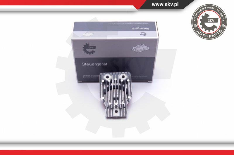 Esen SKV 59SKV068 - Control Unit, lights car-mod.net
