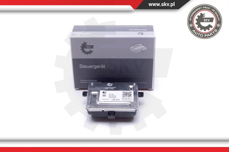Esen SKV 59SKV028 - Control Unit, lights car-mod.net