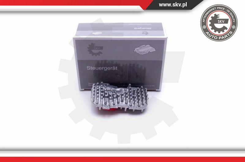 Esen SKV 59SKV077 - Control Unit, lights car-mod.net