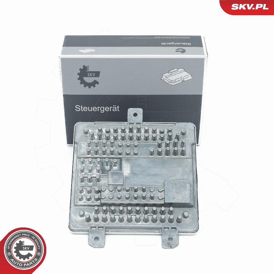 Esen SKV 59SKV194 - Control Unit, lights car-mod.net