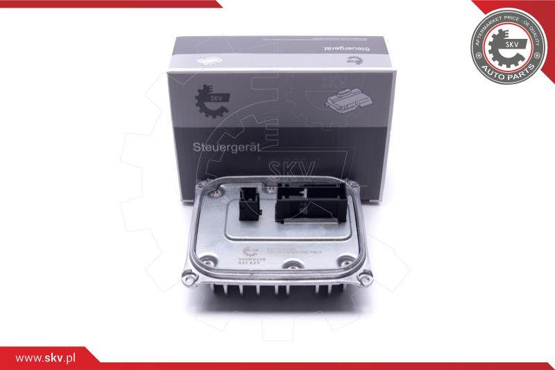 Esen SKV 59SKV169 - Control Unit, lights car-mod.net