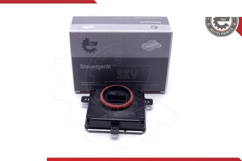 Esen SKV 59SKV165 - Control Unit, lights car-mod.net
