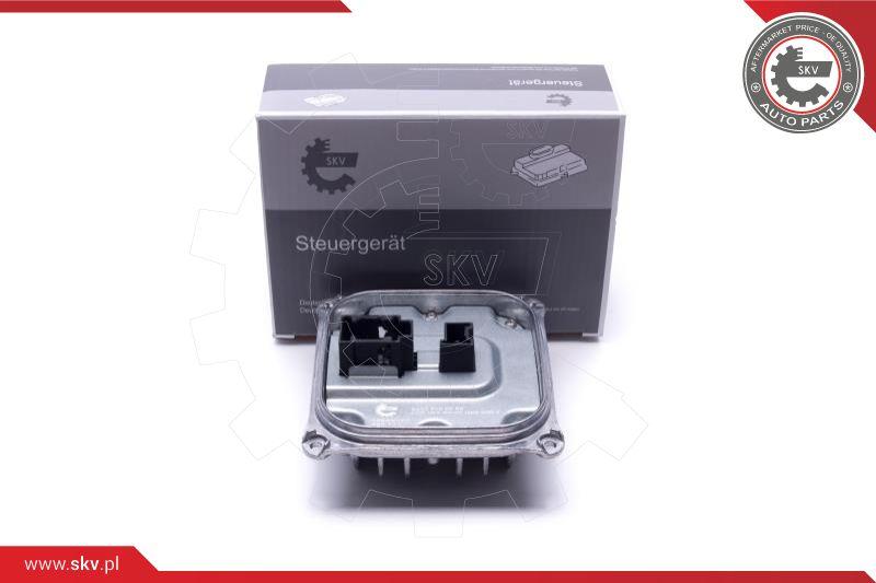 Esen SKV 59SKV168 - Control Unit, lights car-mod.net