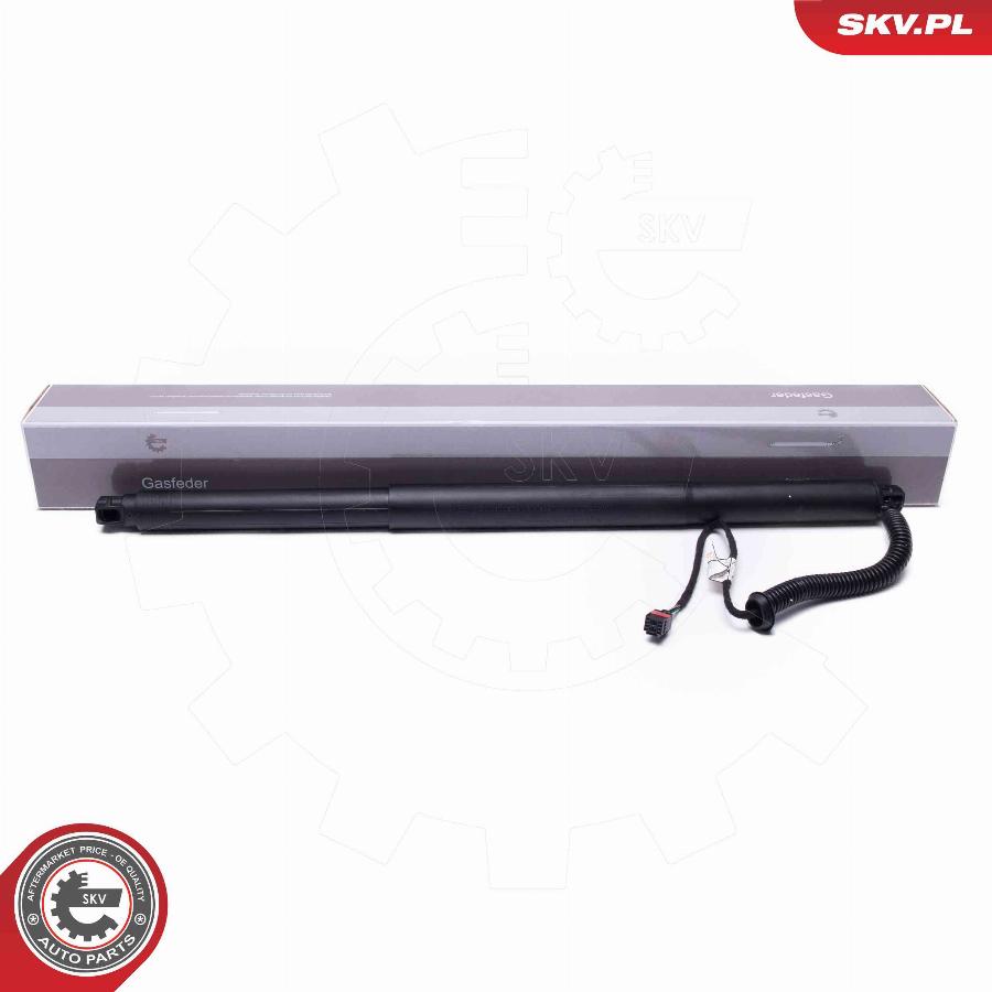 Esen SKV 52SKV959 - Electric Motor, tailgate car-mod.net