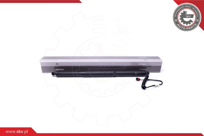 Esen SKV 52SKV903 - Electric Motor, tailgate car-mod.net