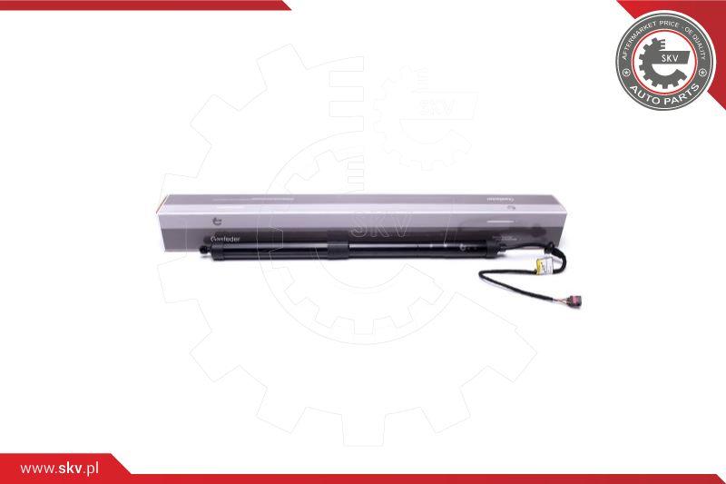 Esen SKV 52SKV902 - Electric Motor, tailgate car-mod.net