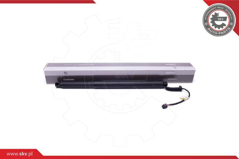 Esen SKV 52SKV913 - Electric Motor, tailgate car-mod.net