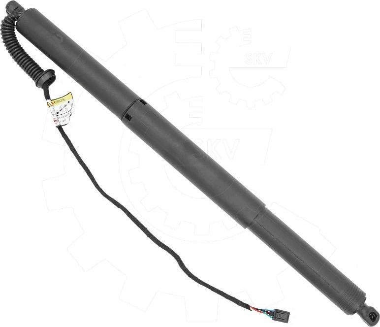 Esen SKV 52SKV988 - Electric Motor, tailgate car-mod.net