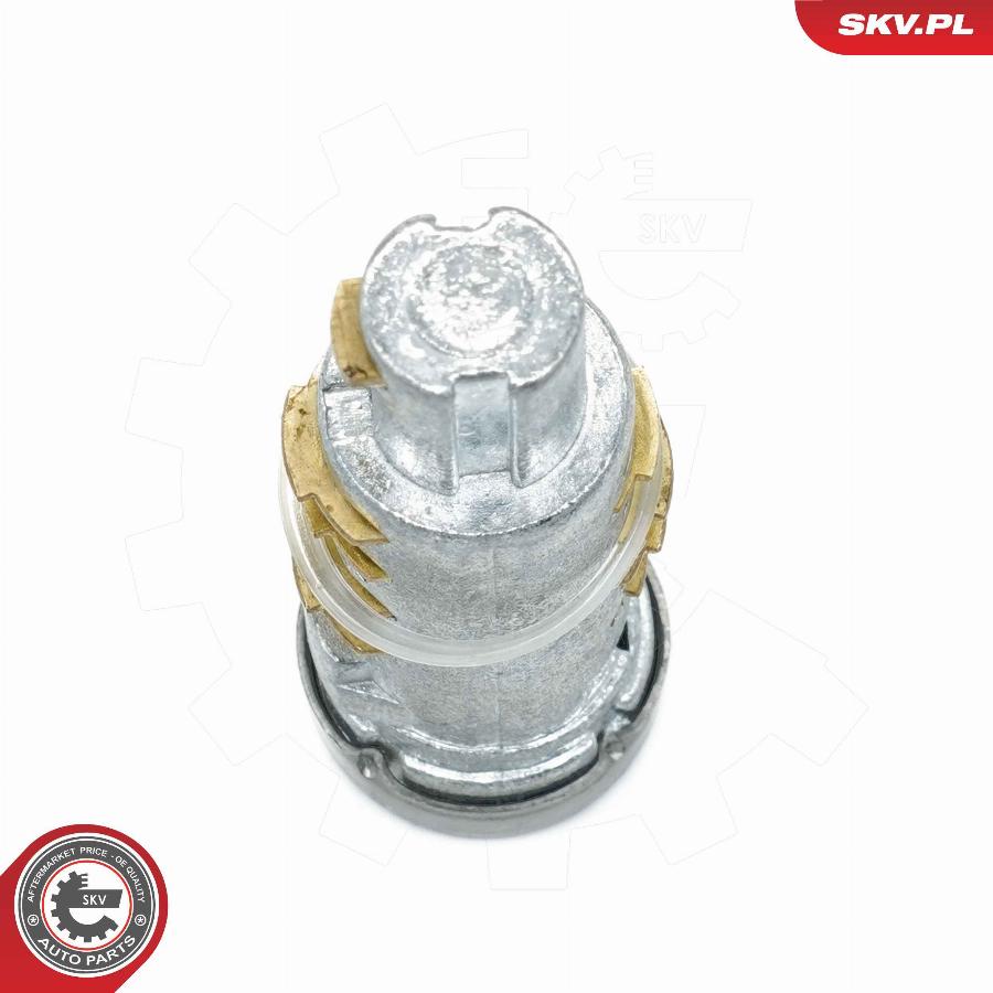 CARRO 528007230 - Lock Cylinder car-mod.net