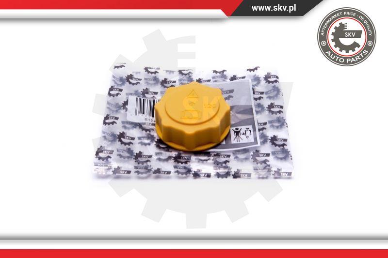 Esen SKV 61SKV007 - Sealing Cap, coolant tank car-mod.net