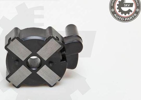 Esen SKV 03SKV186 - Ignition Coil car-mod.net