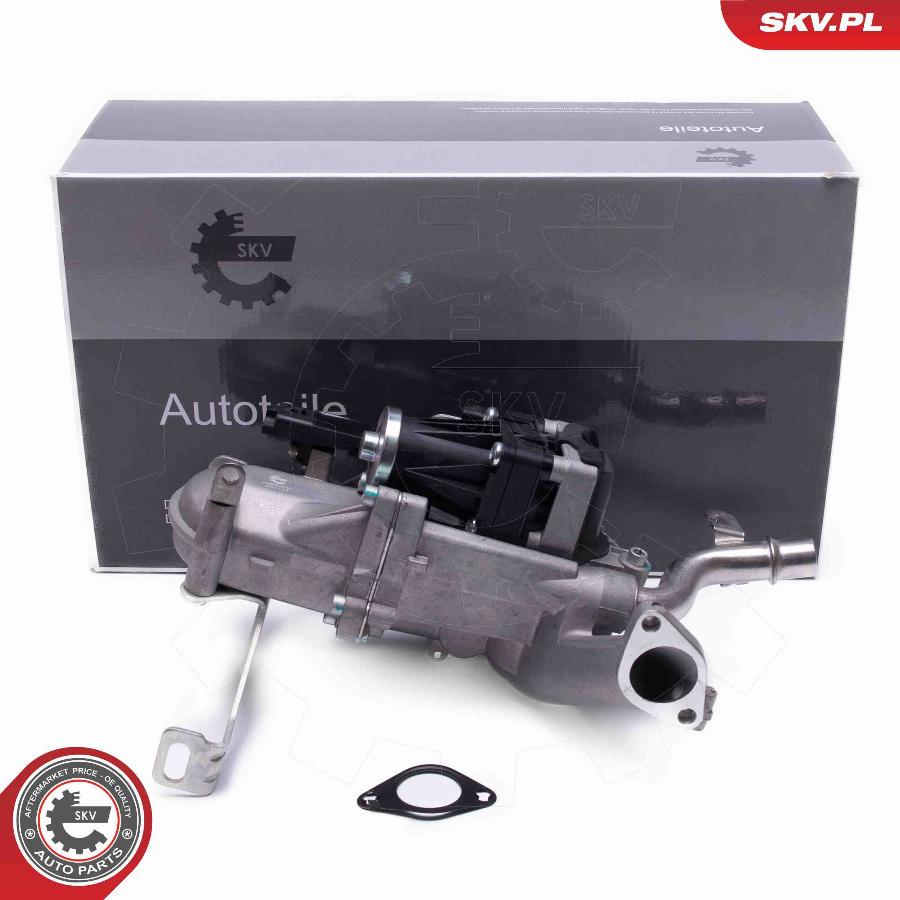 Esen SKV 14SKV240 - EGR Valve car-mod.net