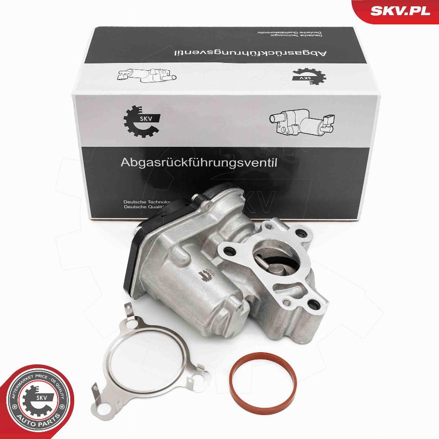 Esen SKV 14SKV276 - EGR Valve car-mod.net