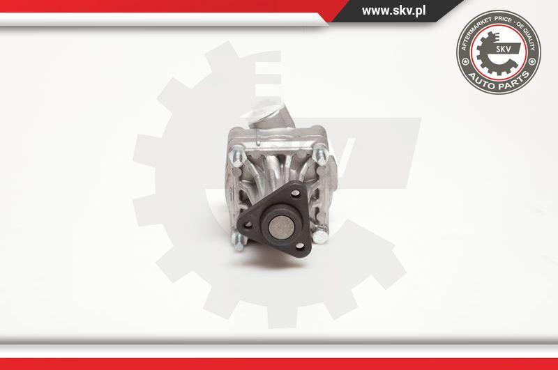 Esen SKV 10SKV005 - Hydraulic Pump, steering system car-mod.net