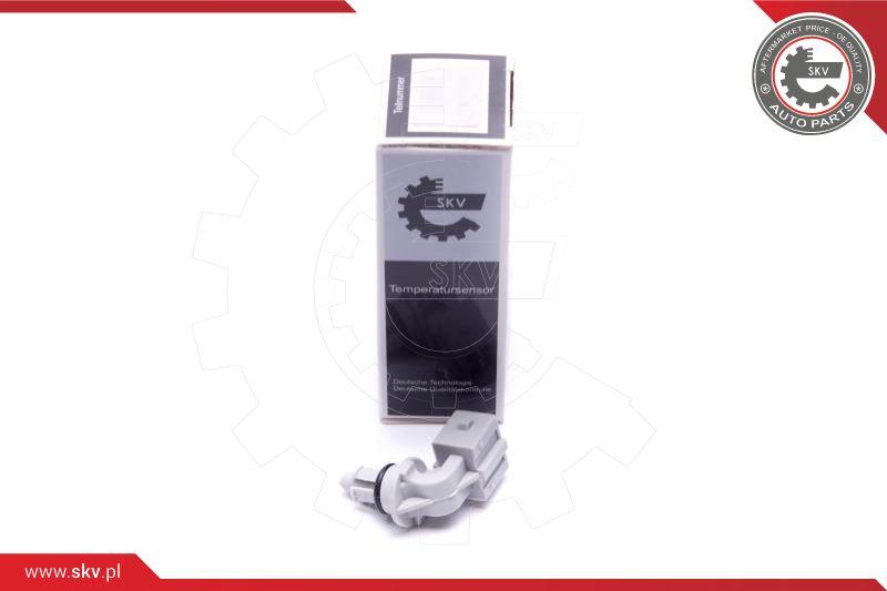 Esen SKV 17SKV693 - Sensor, intake air temperature car-mod.net