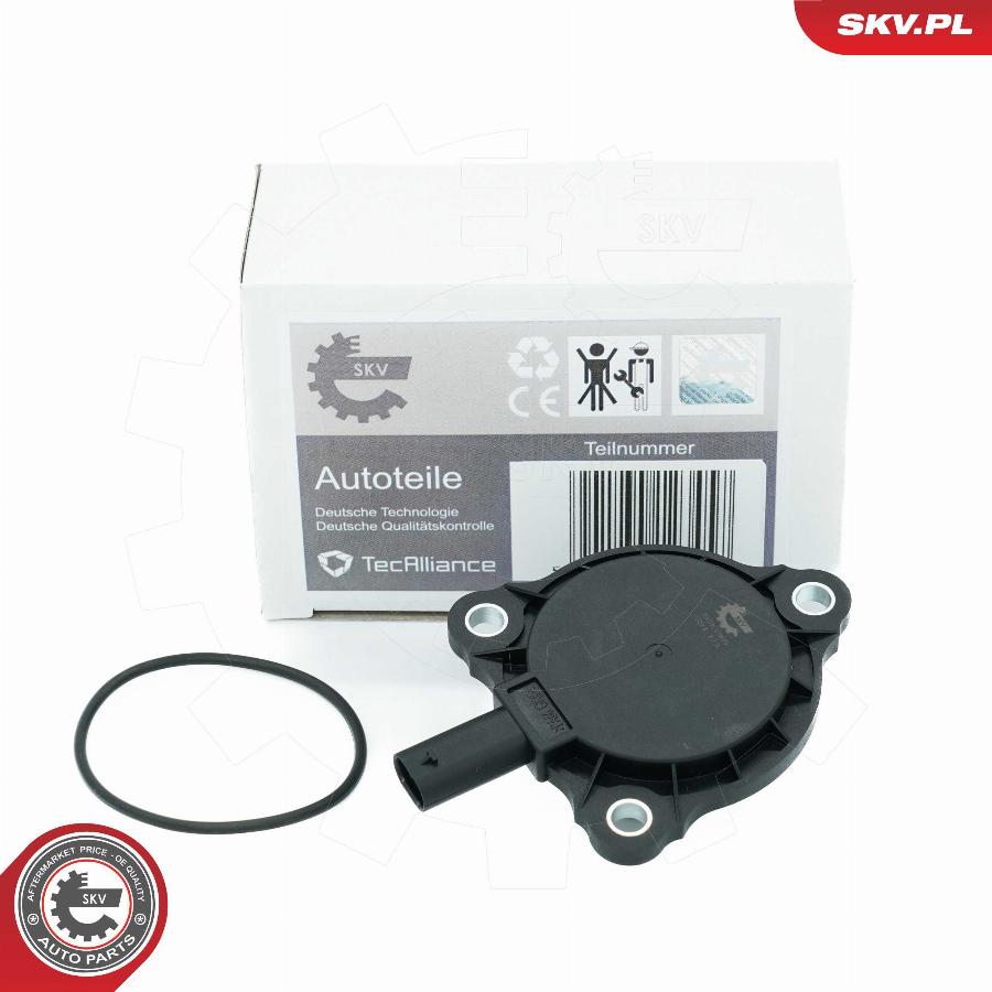 Esen SKV 39SKV905 - Central Magnet, camshaft adjustment car-mod.net