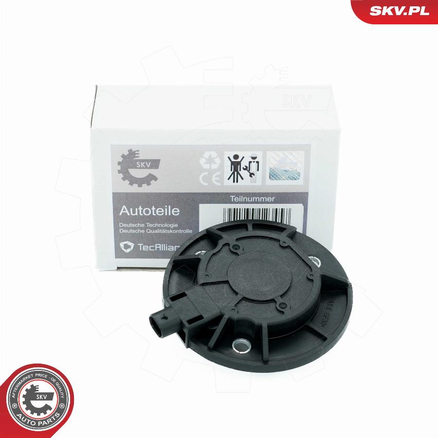 Esen SKV 39SKV900 - Central Magnet, camshaft adjustment car-mod.net