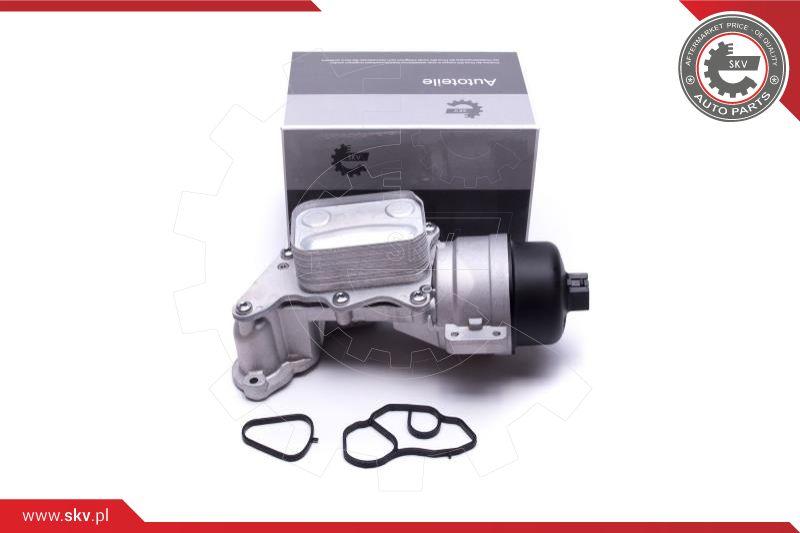 Esen SKV 31SKV233 - Housing, oil filter car-mod.net